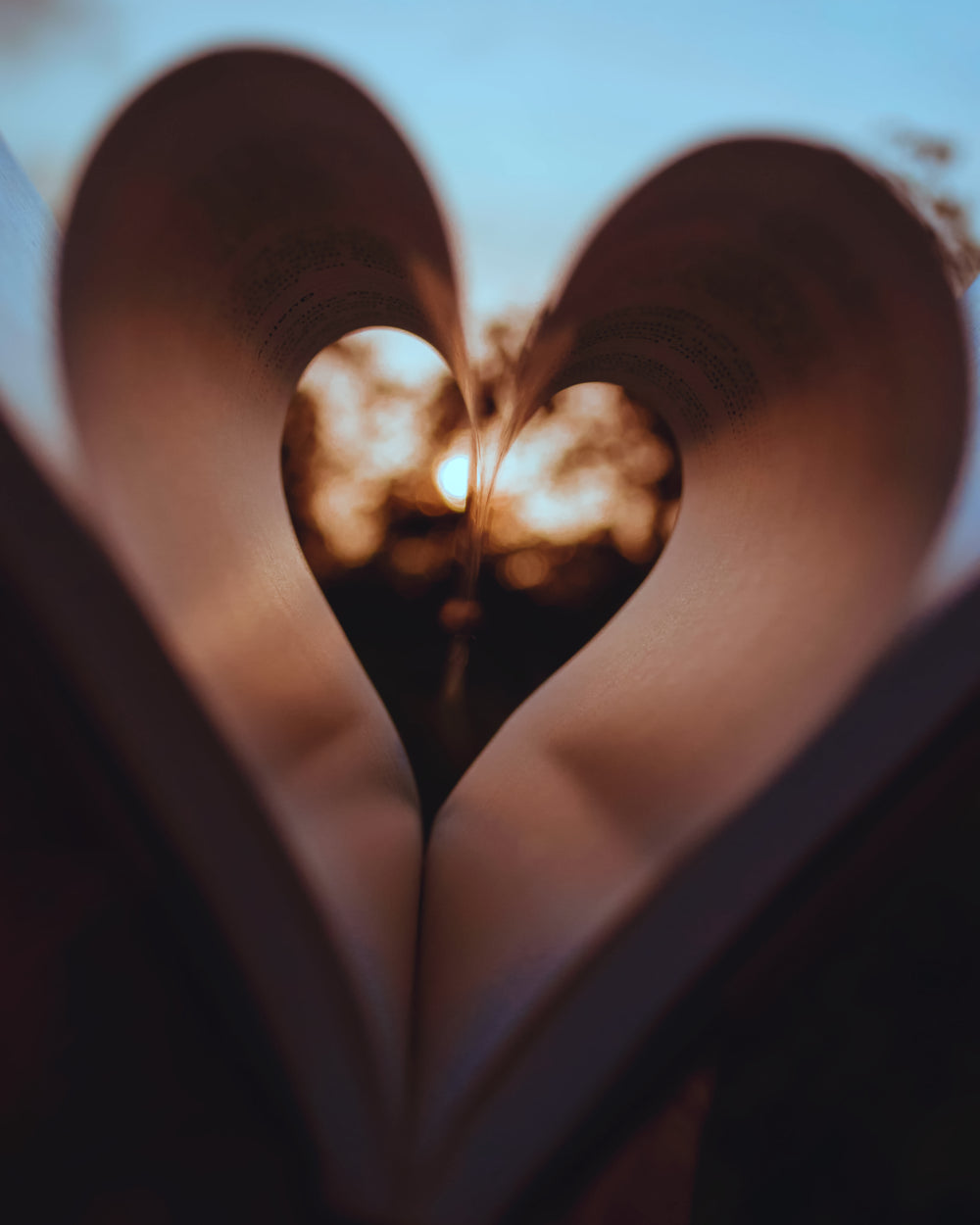 pages-of-a-book-curled-inwards-to-create-a-heart